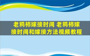 老鸦柿嫁接时间 老鸦柿嫁接时间和嫁接方法视频教程